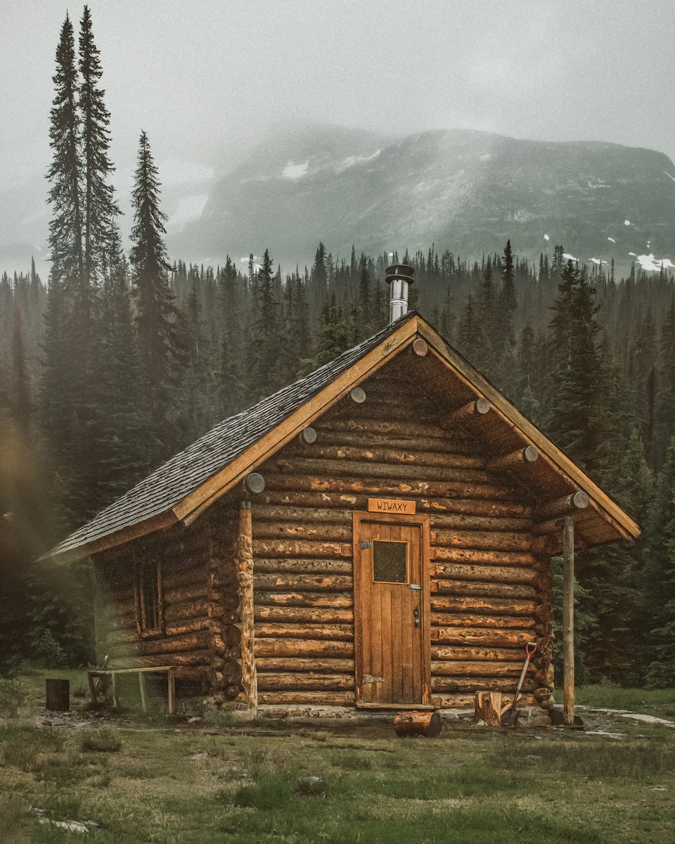 Brown wooden cabin near trees during day